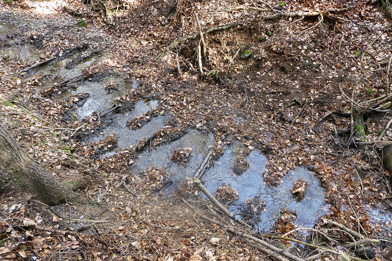 Untitled – print by Christian Eisenberger – OstLicht