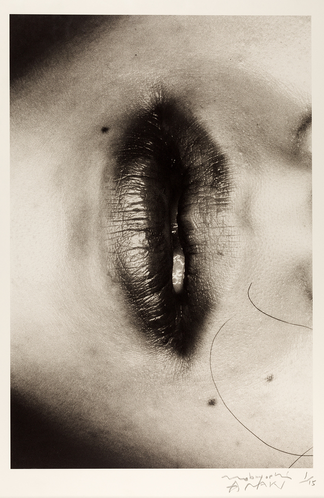 Untitled, from the series »Erotos« print by Nobuyoshi Araki – OstLicht