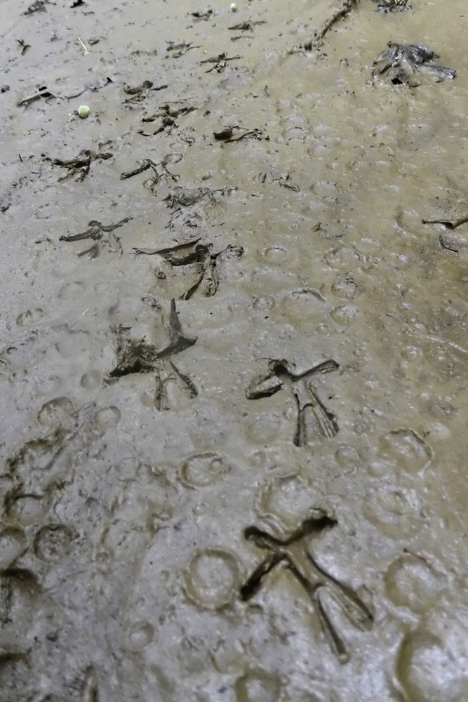 Untitled – print by Christian Eisenberger – OstLicht