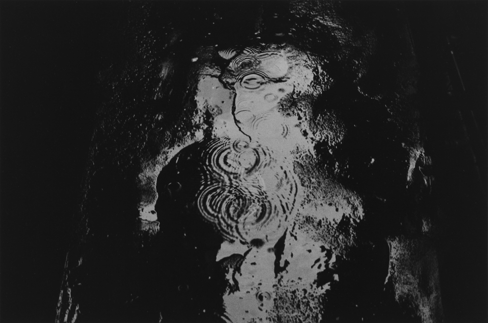 Untitled #16 from the series »Last by Leica« – print by Nobuyoshi Araki – OstLicht