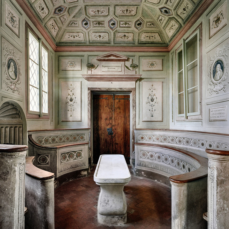 The Modern Spirit is Vivisective by Francesca Catastini