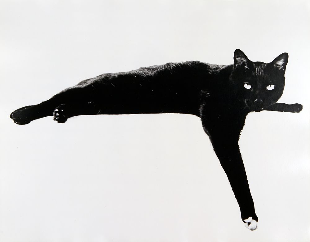 Roland Pleterski print for sale Mauki Ostlicht Shop