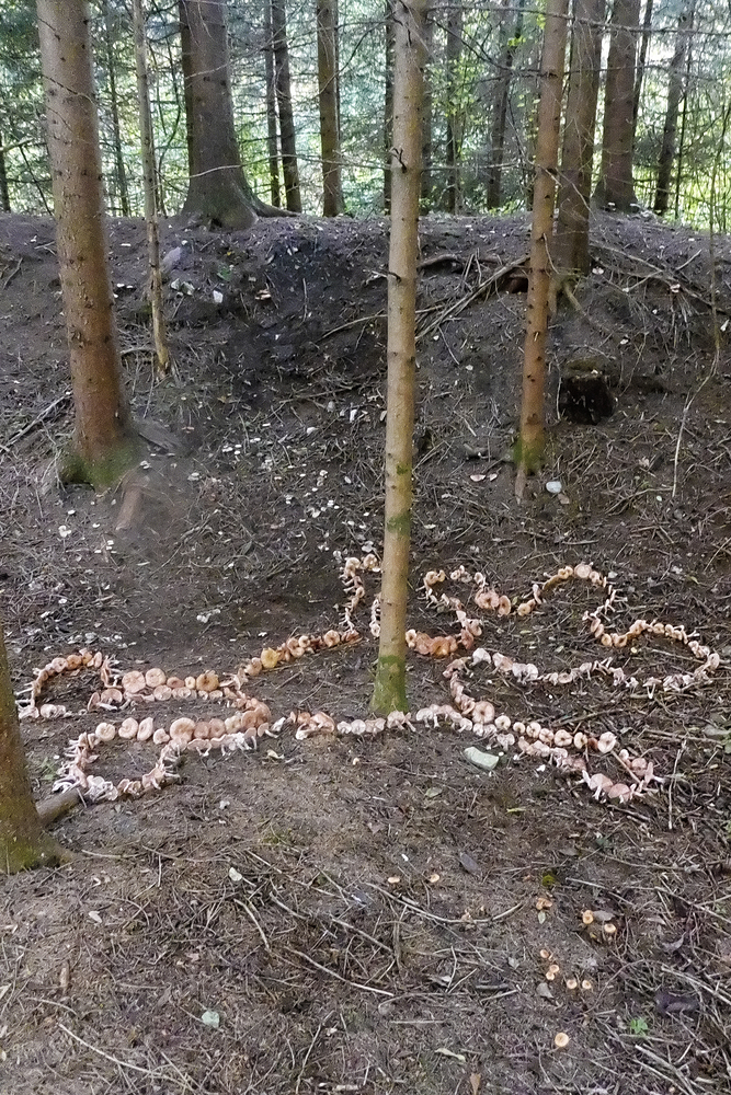 Untitled – print by Christian Eisenberger – OstLicht